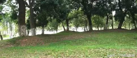 经典的园林景观工程施工方案案例，值得你收藏！