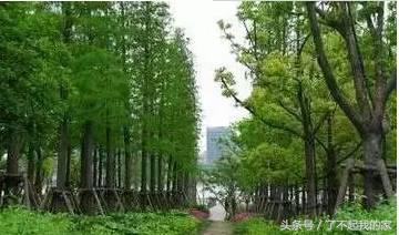 经典的园林景观工程施工方案案例，值得你收藏！