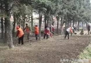 经典的园林景观工程施工方案案例，值得你收藏！